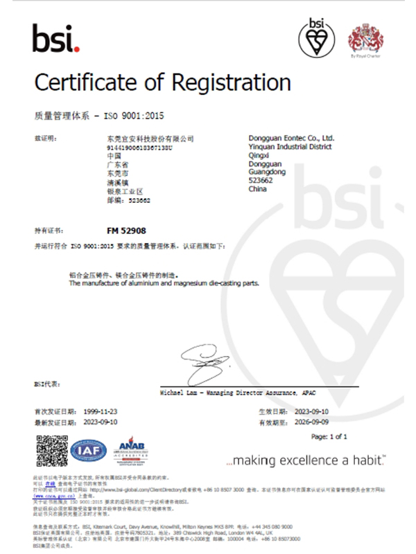 OG真人官方科技-ISO 9001：2015