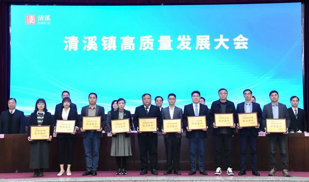喜讯：OG真人官方科技荣获2024年度“清溪镇主营业务收入及效益贡献标兵企业”