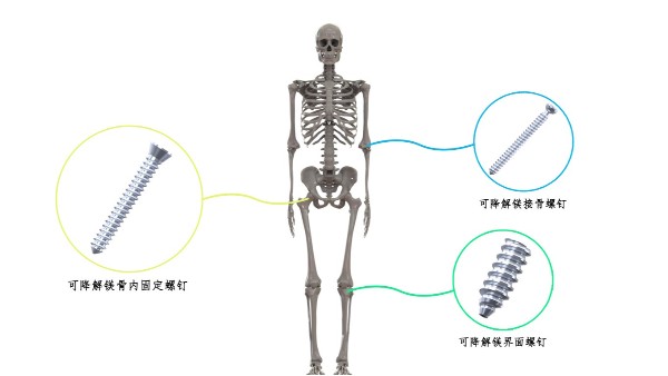 喜讯：OG真人官方科技荣获2024中华医学科技奖